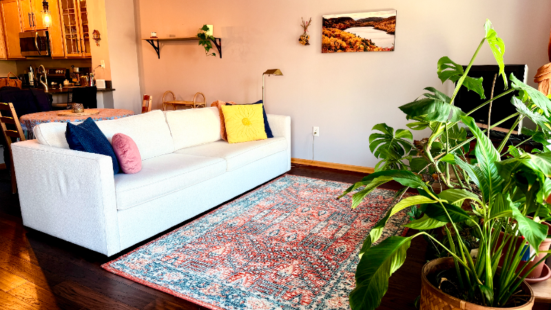 Minneapolis Condo: 500 N 2nd St