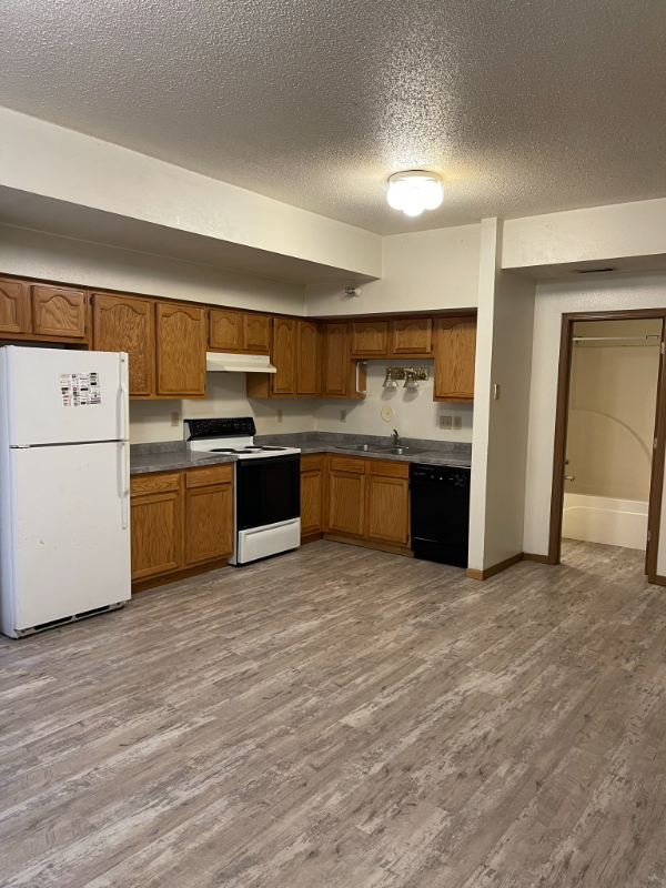 Iowa City Apartment: 307 E. College Street