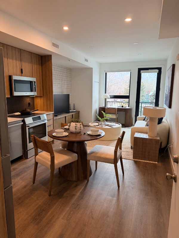 Basalt Condo: 140 Basalt Center Circle
