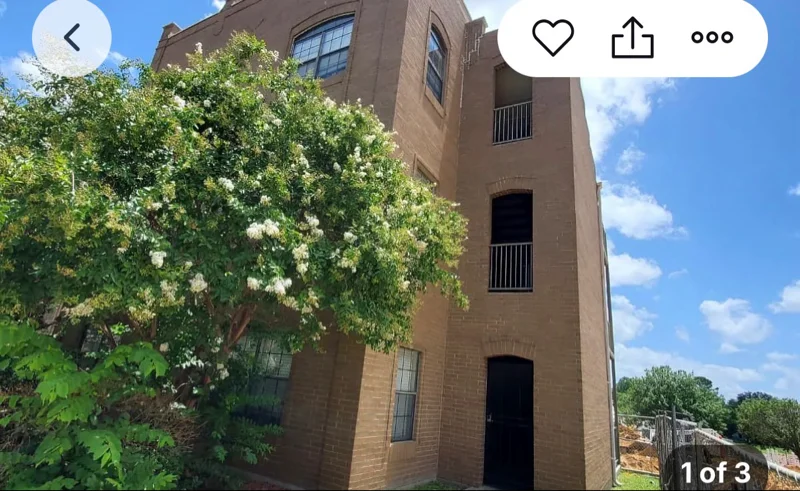 Denton Apartment: 309 W Hickory St