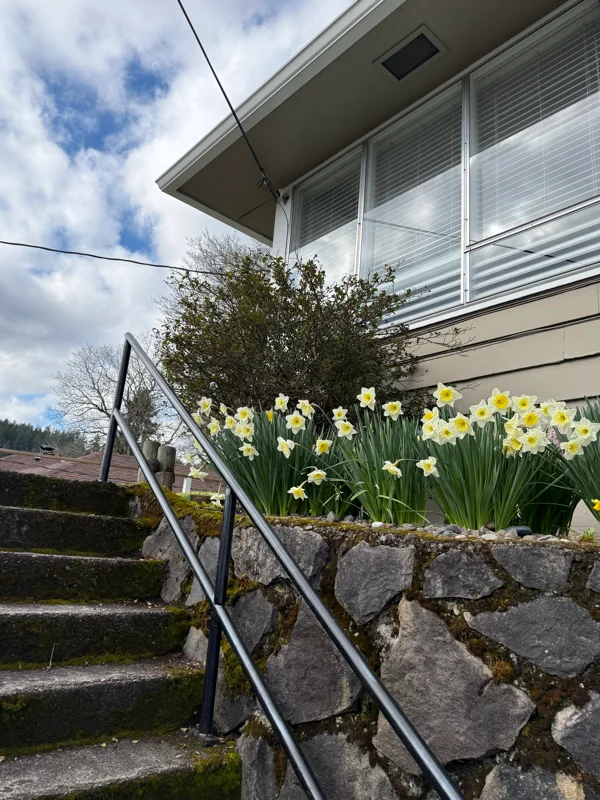 Camas Multiplex: 701 NE 22nd Ave