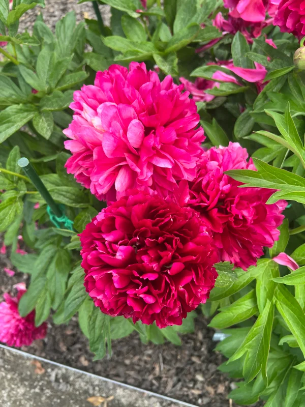 Missoula Condo: 4100 Mullan Rd