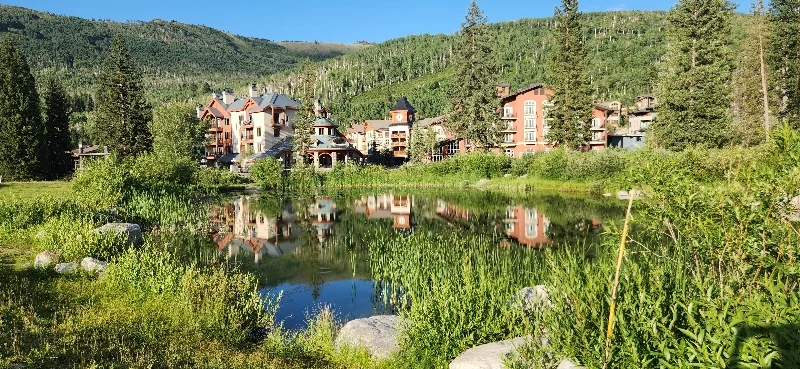 brighton Condo: 12082 E Big Cottonwood Canyon Rd