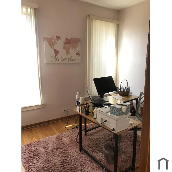 Chicago Multiplex: 4733 S Indiana Unit B (2)