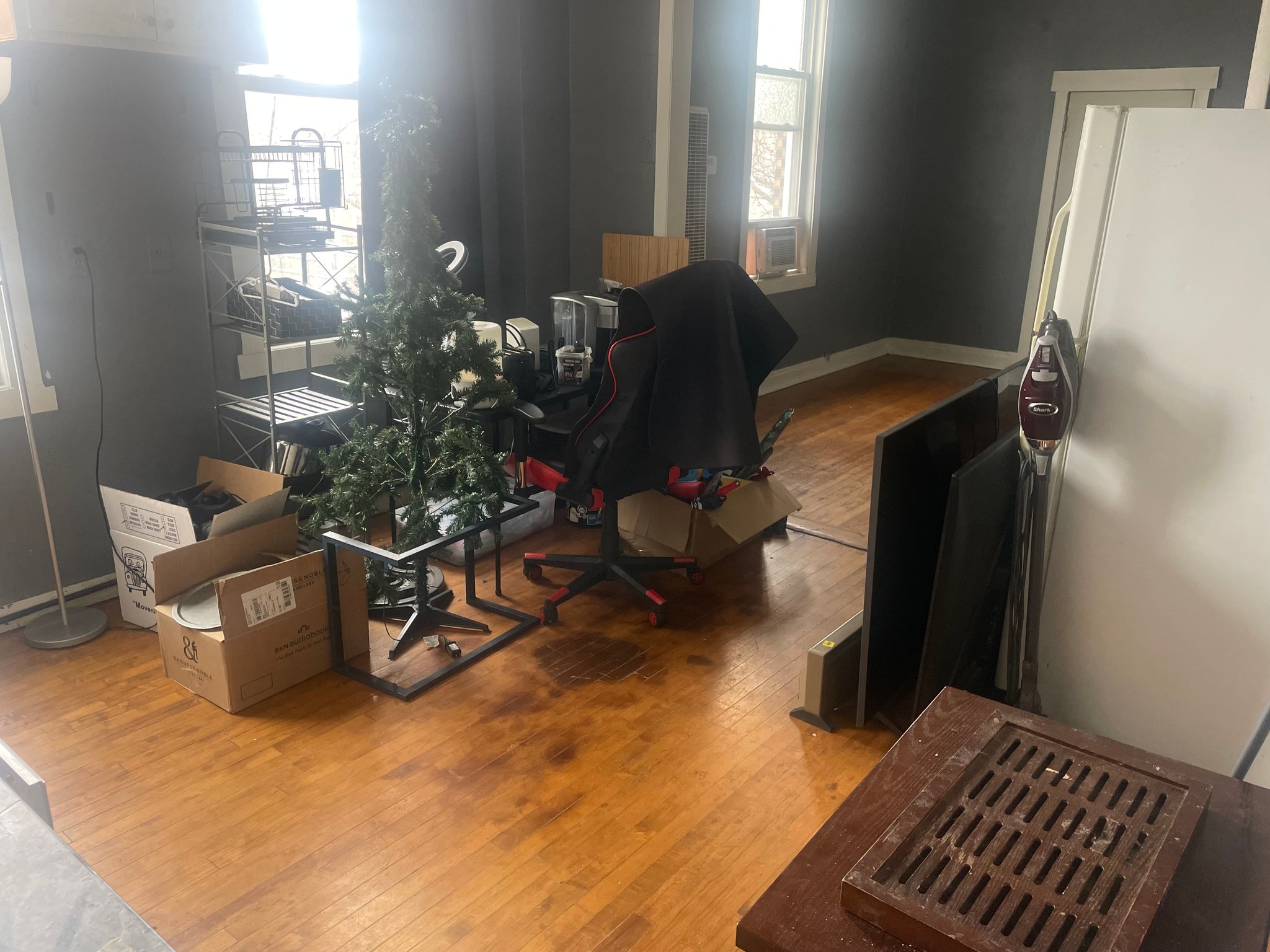 Chicago Apartment: 224 W 31st St