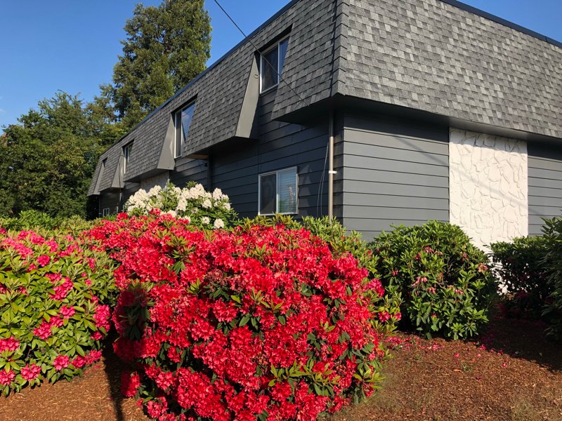 Albany Multiplex: 620 SE Queen Ave Albany