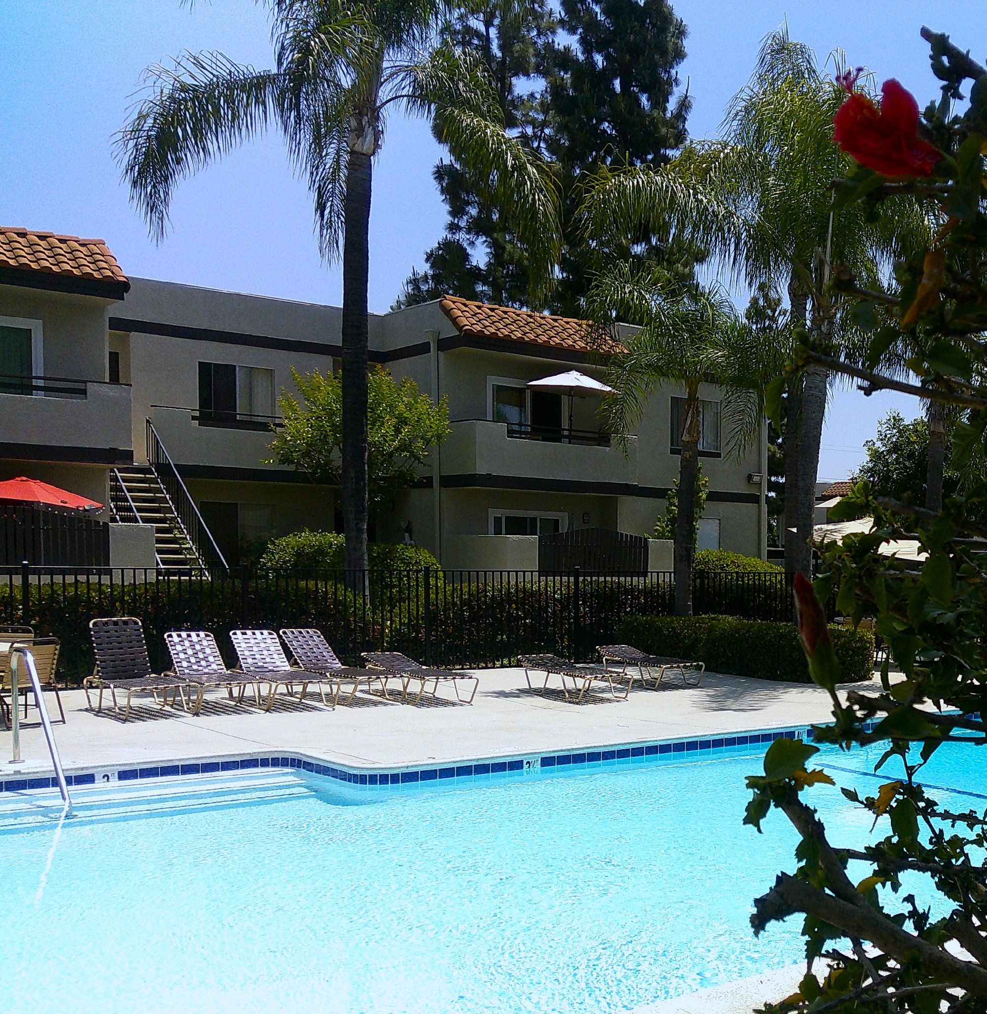 Covina Apartment: 19550 E Cienega Ave