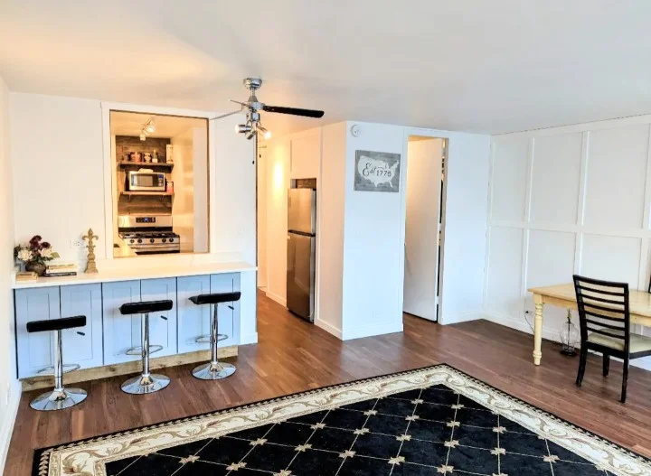 Chicago Condo: 1 East Scott