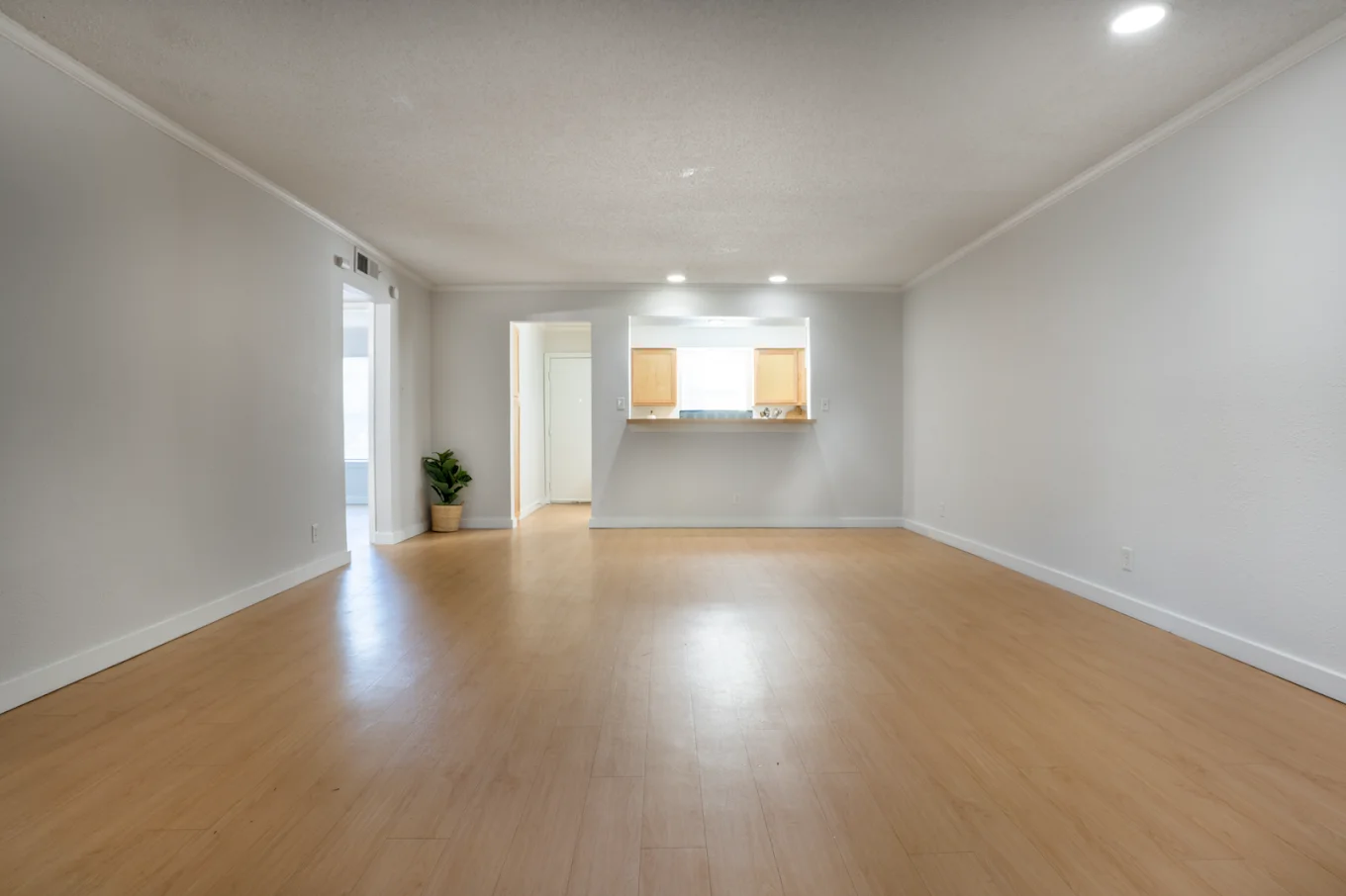 austin Apartment: 2601 penny ln