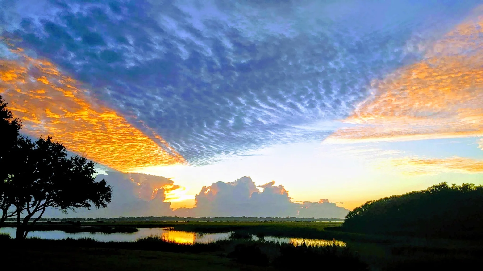 Saint Augustine Condo: 31 Aledo Court