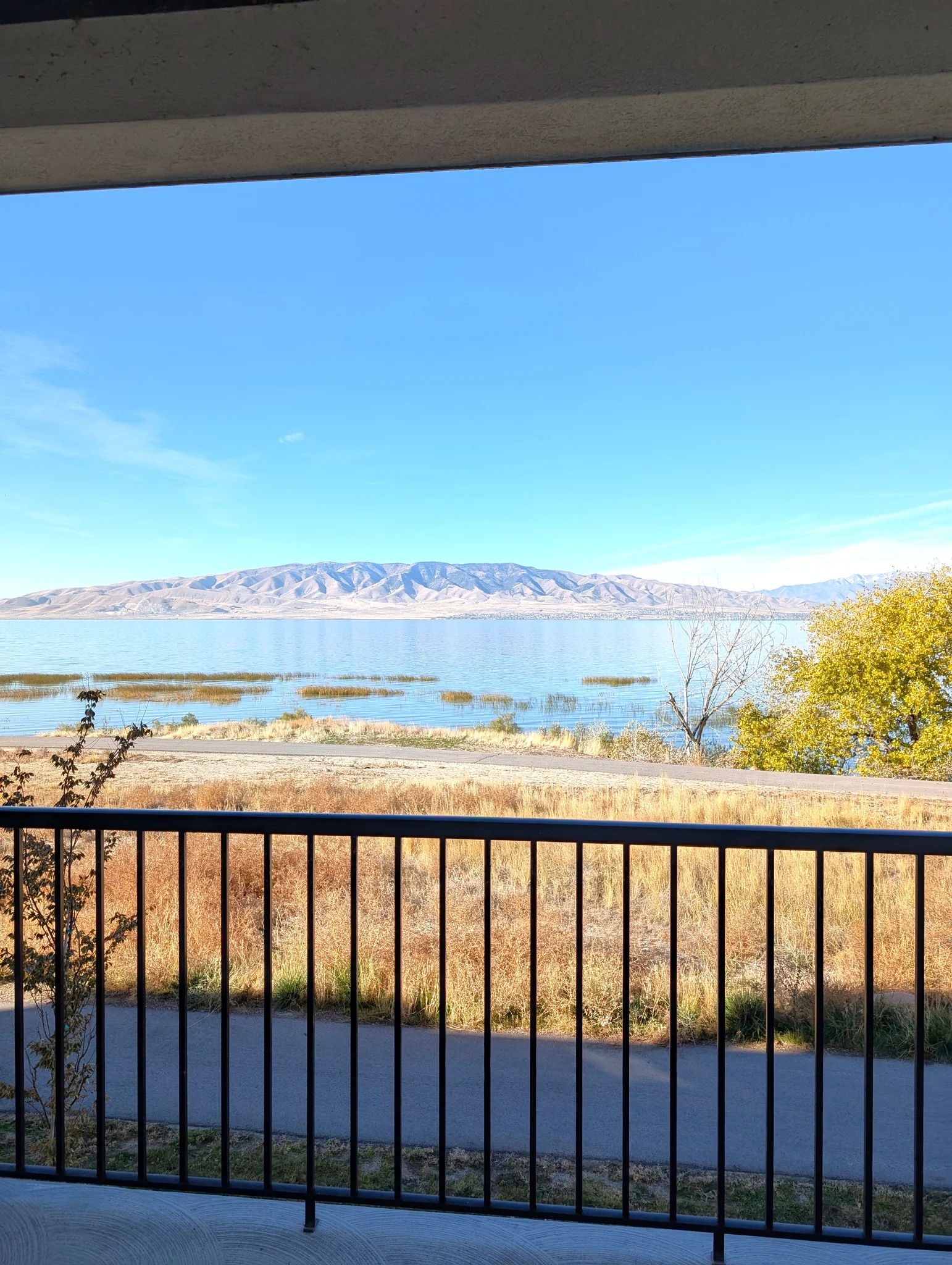 Vineyard Condo: 687 N 380 W