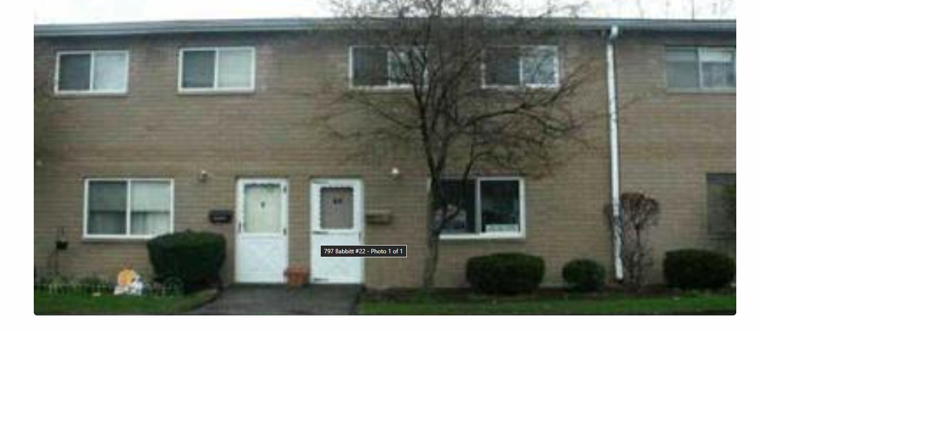 euclid Condo: 797 Babbitt