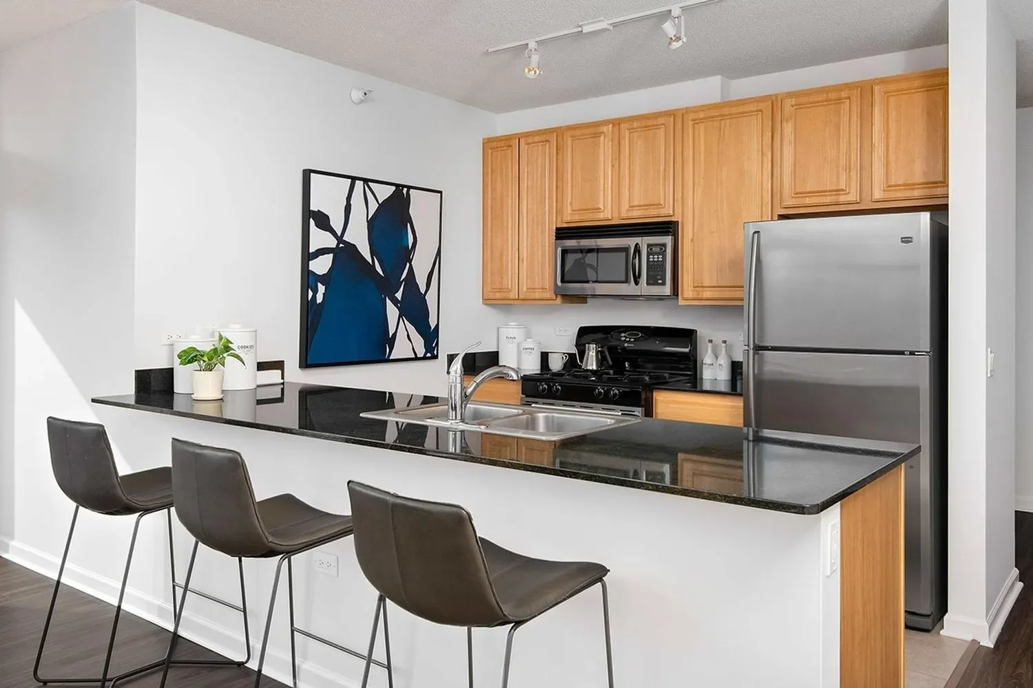 Chicago Condo: 610 W Kinzie St