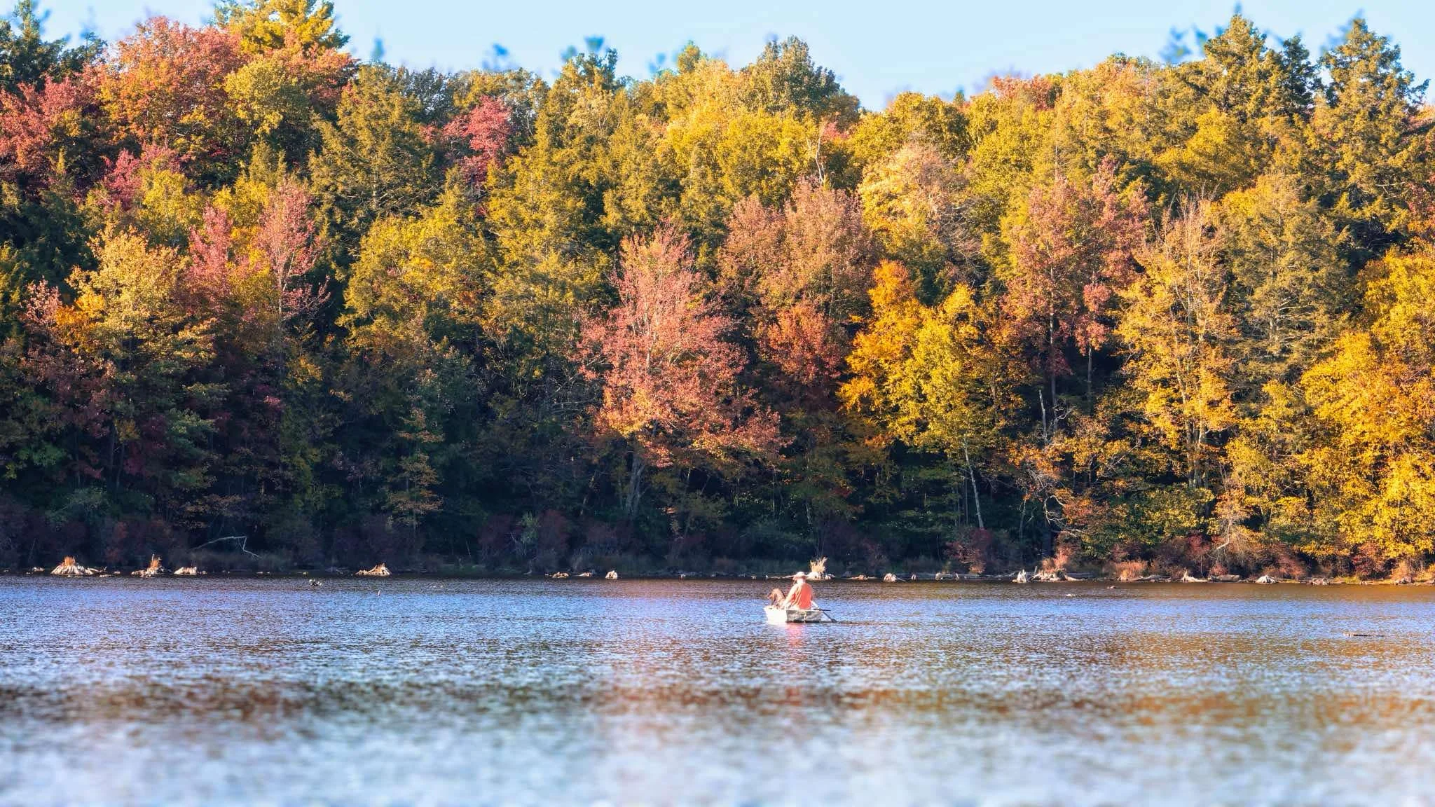 Rock Hill House: 149 Beaver Lake Rd