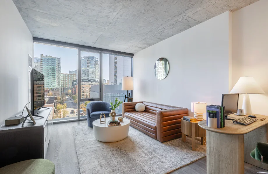 Chicago Condo: 800 N. Cleveland