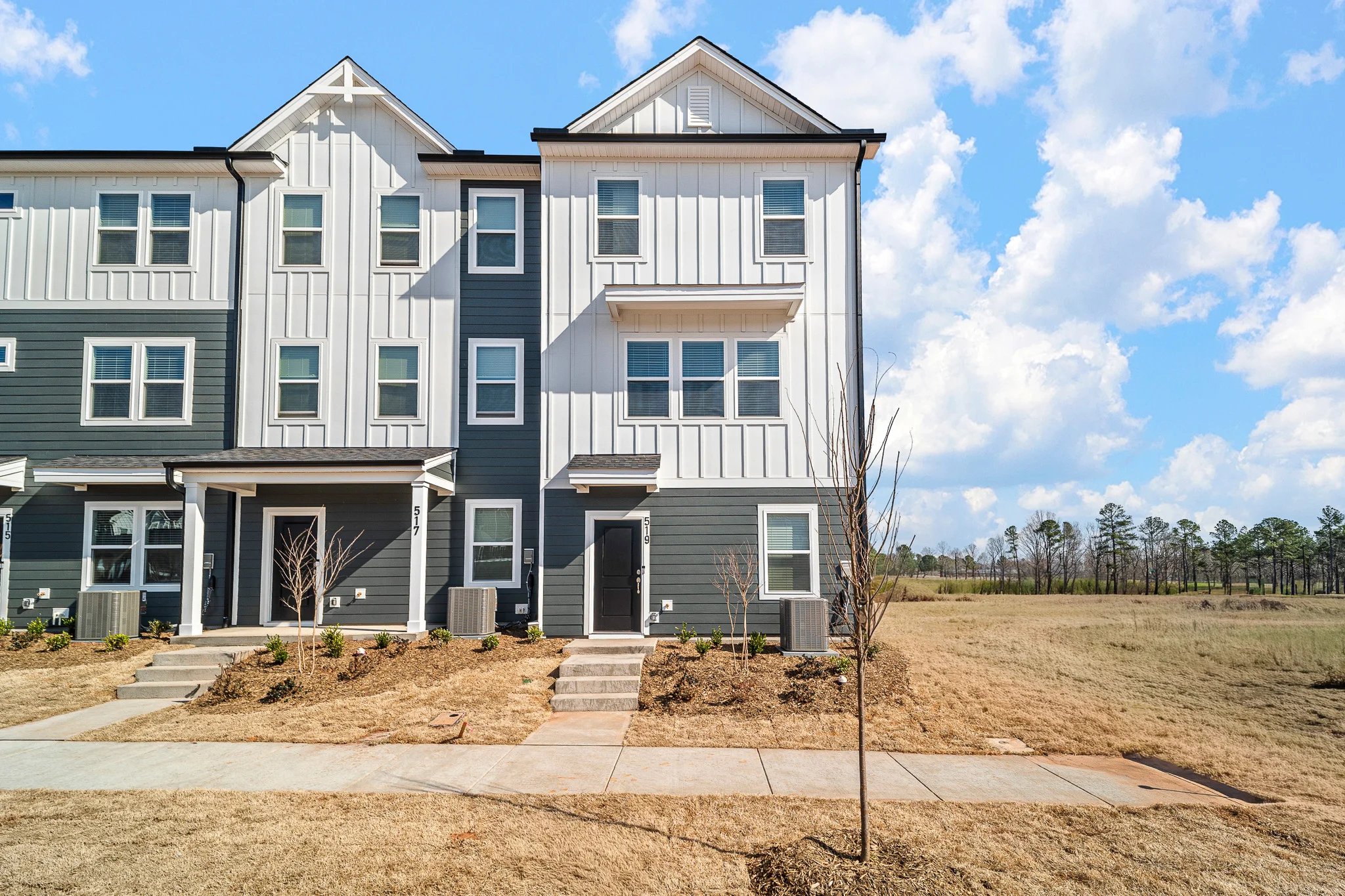 Durham Townhome: 519 Toffeeman Drive