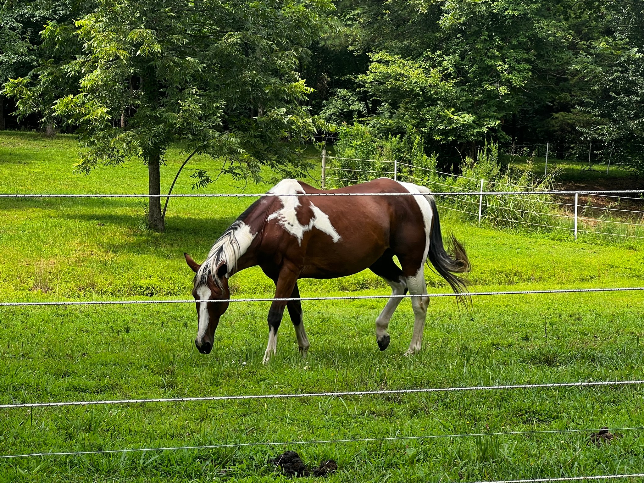 Bowling Green Other: 181 Benton St