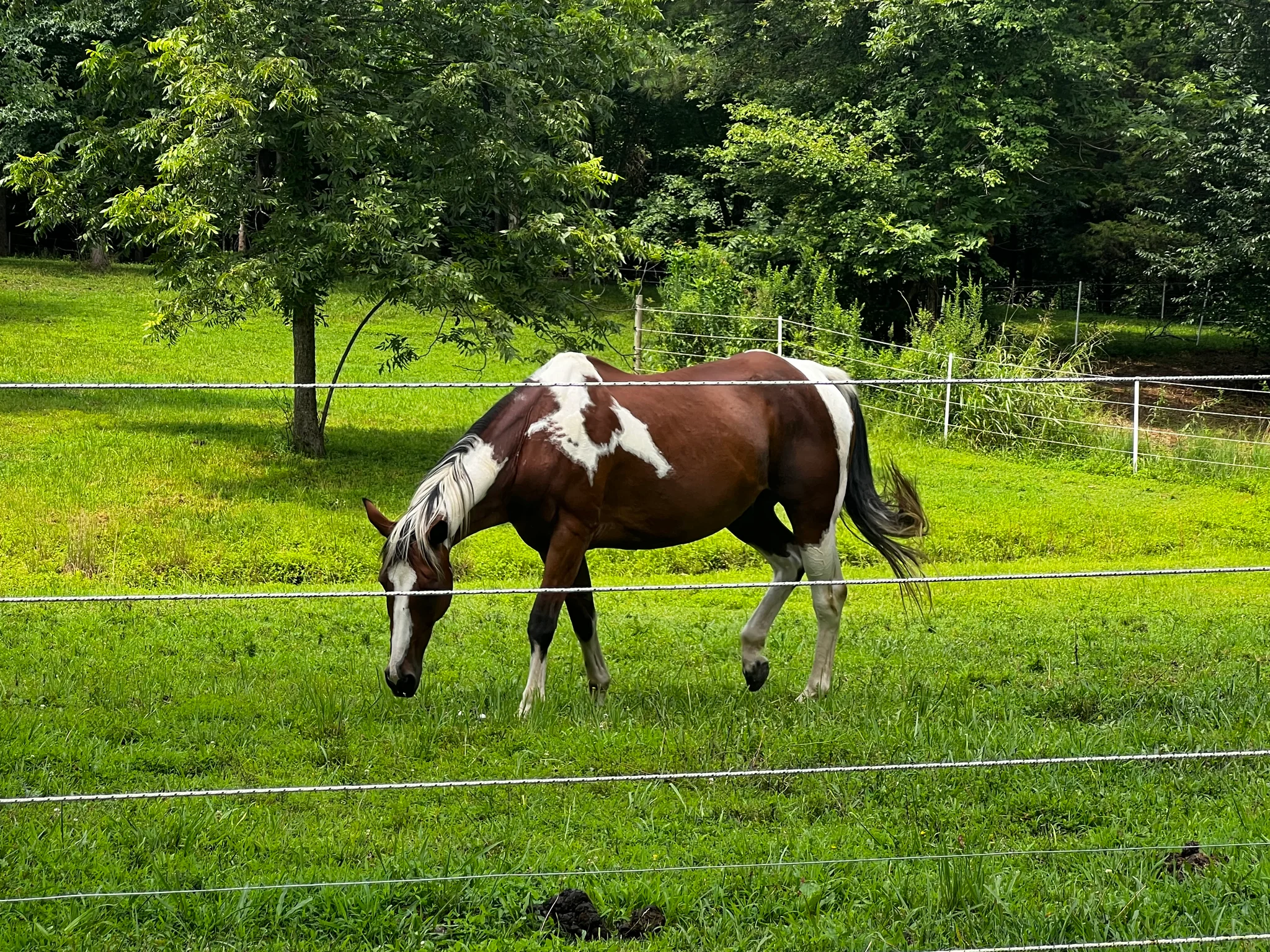 Bowling Green Other: 181 Benton St
