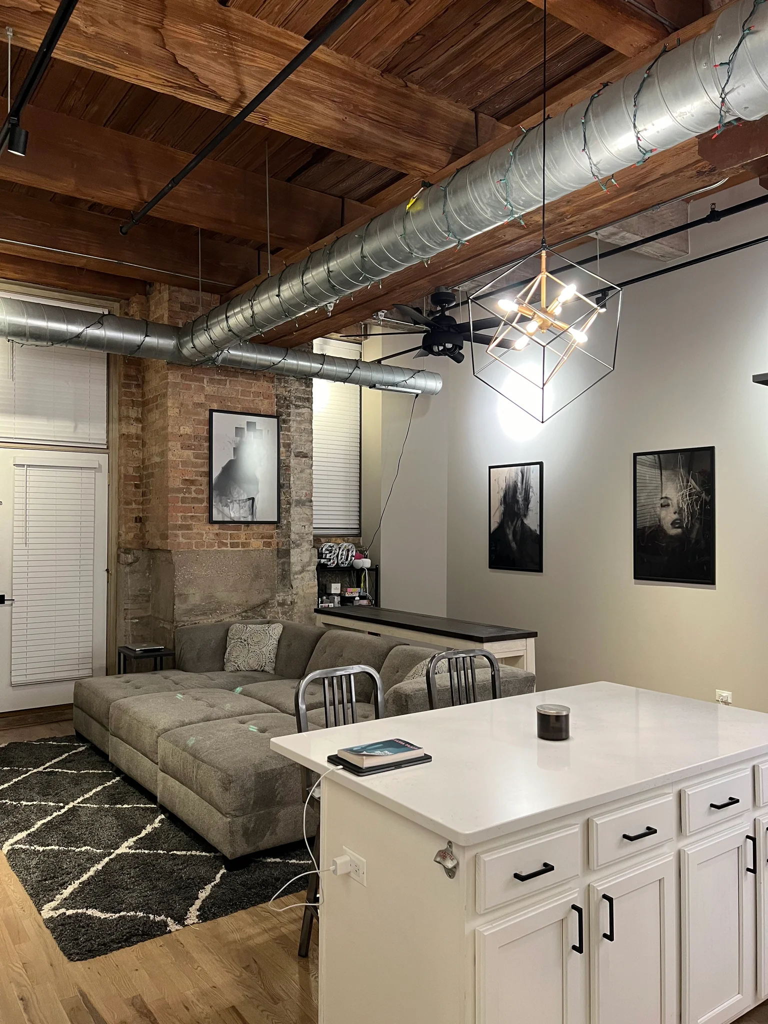 Chicago Condo: 1500 W Monroe St