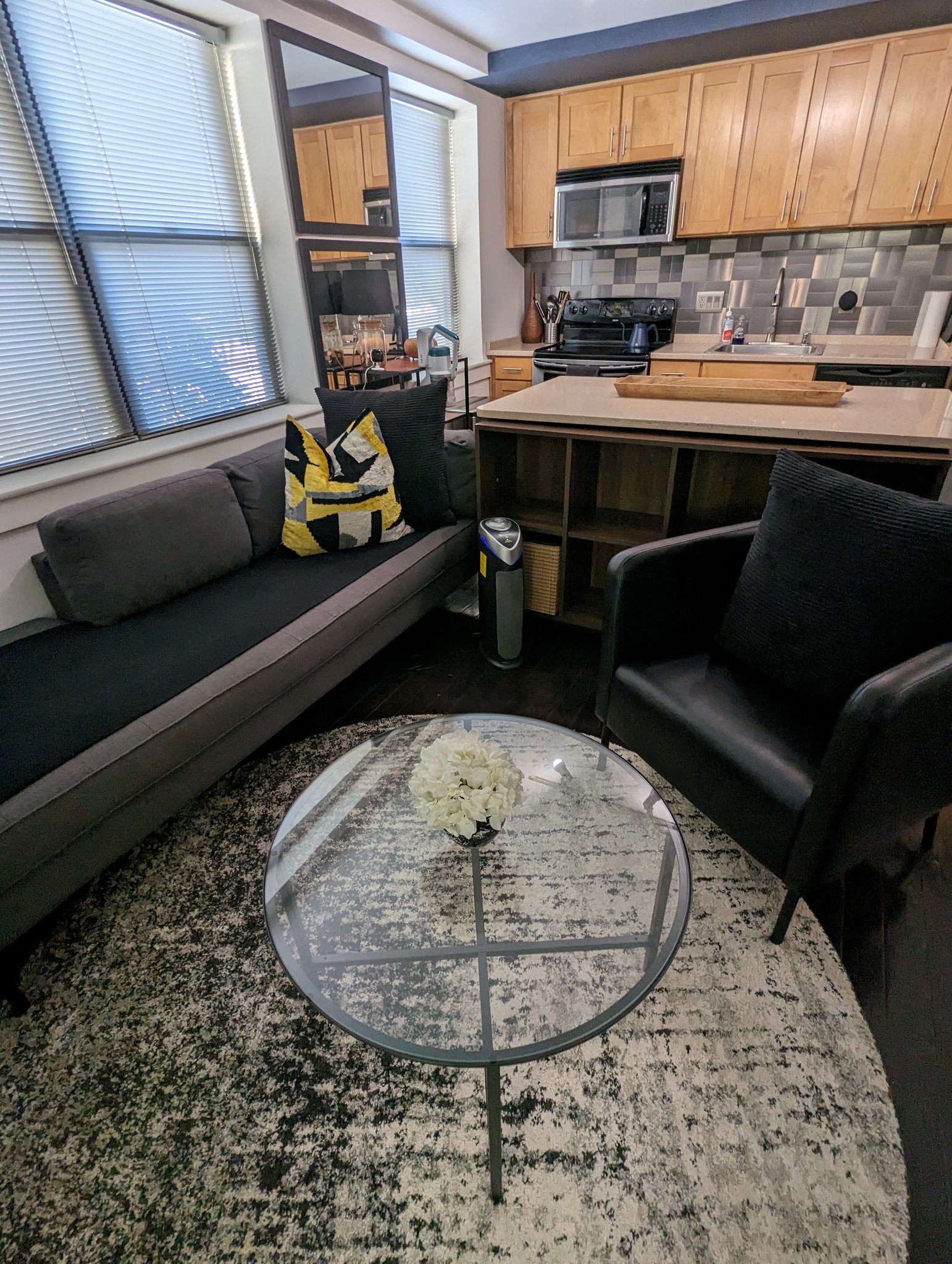 Washington Condo: 210 Oakwood St SE