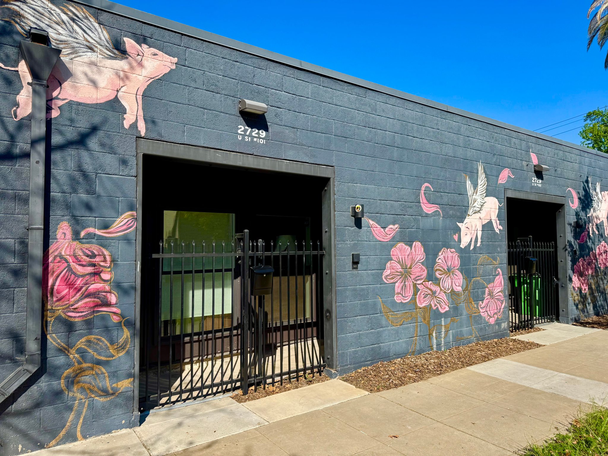 Sacramento Multiplex: 2729 U St