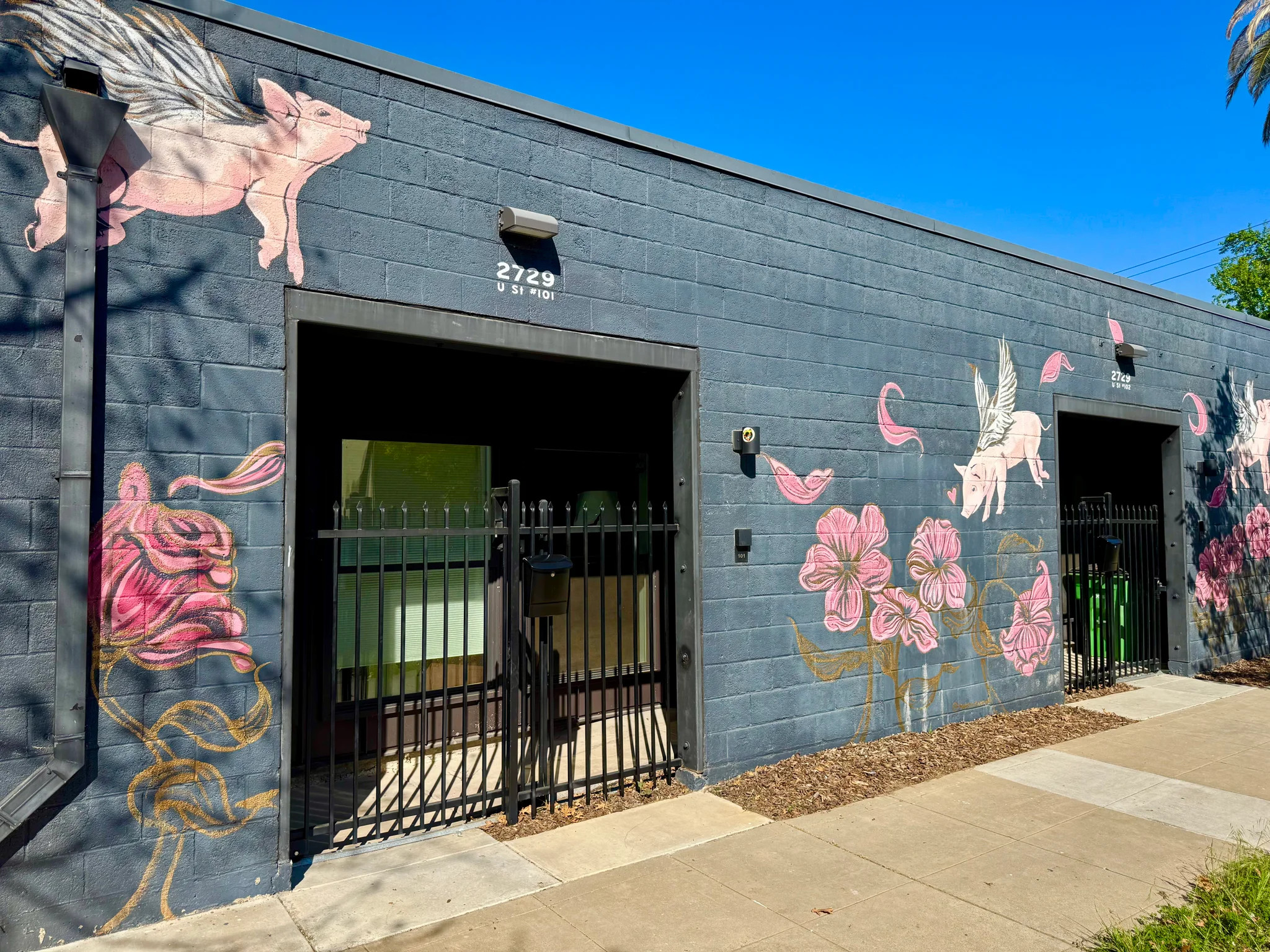 Sacramento Multiplex: 2729 U St, Unit 101