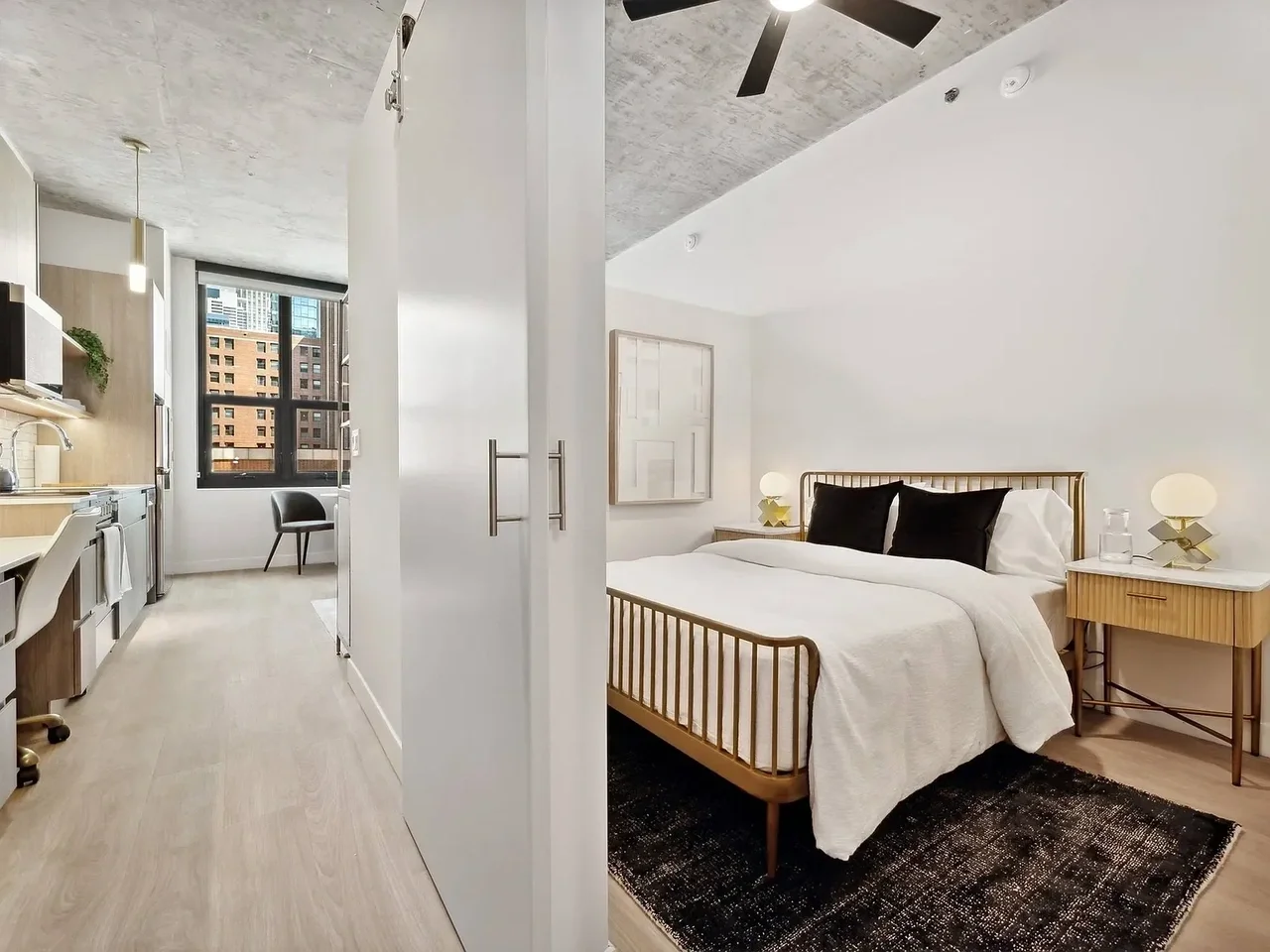 Chicago Condo: 824 N Wells St