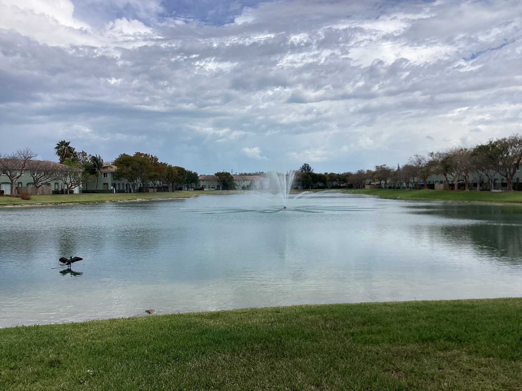 Homestead Townhome: 2736 SE 15 road