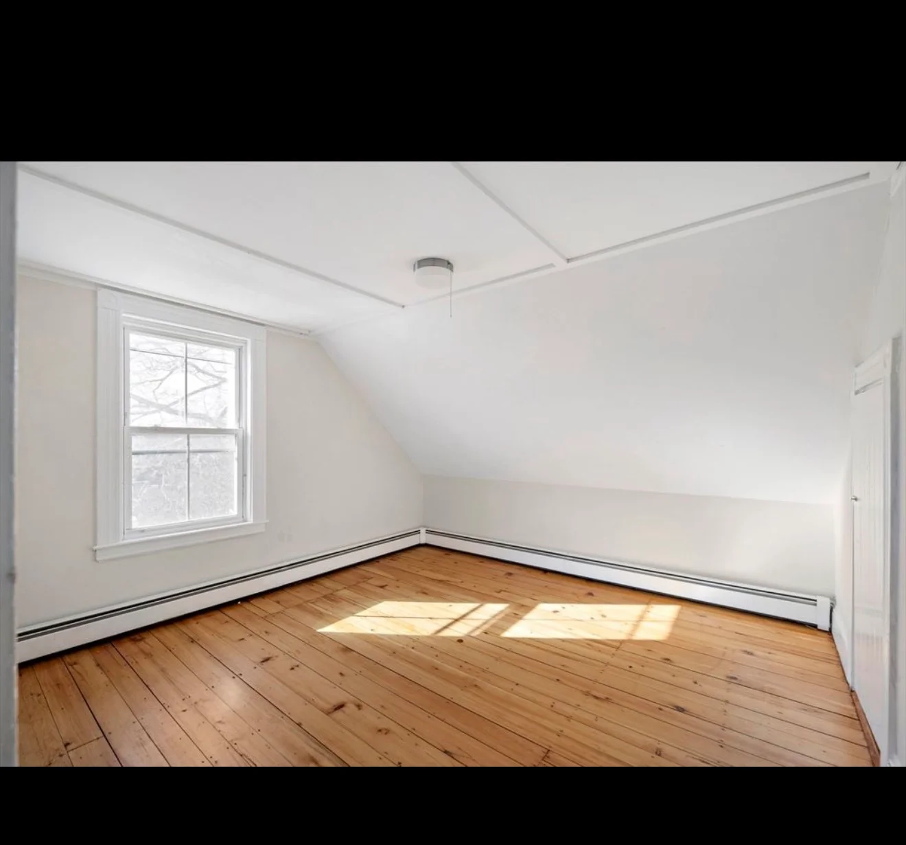 lynn Multiplex: 11 evelyn st