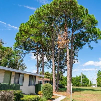 Leesburg Apartment: 33305 Ryan Drive