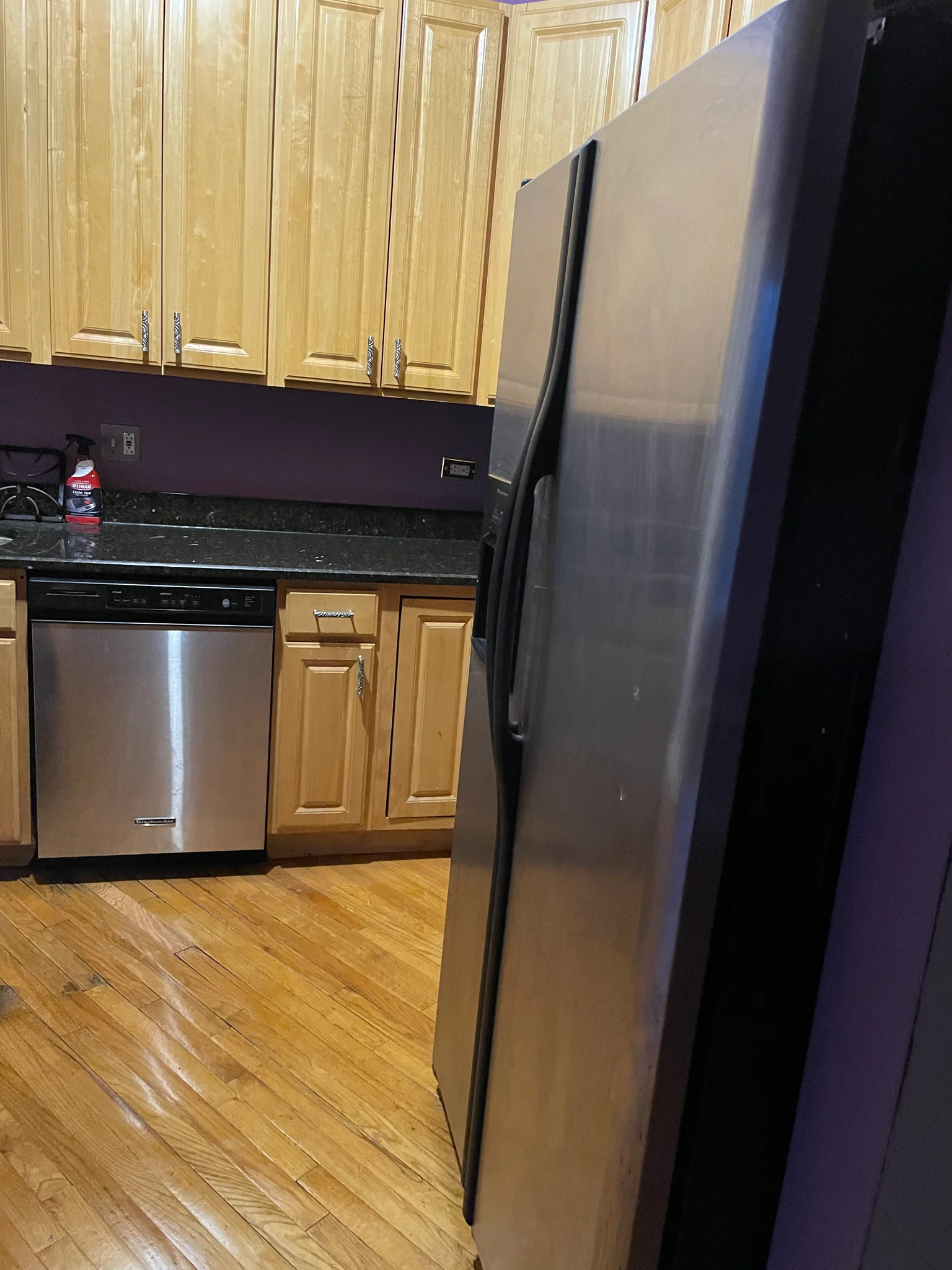 Chicago Condo: 6518 S Minerva Ave