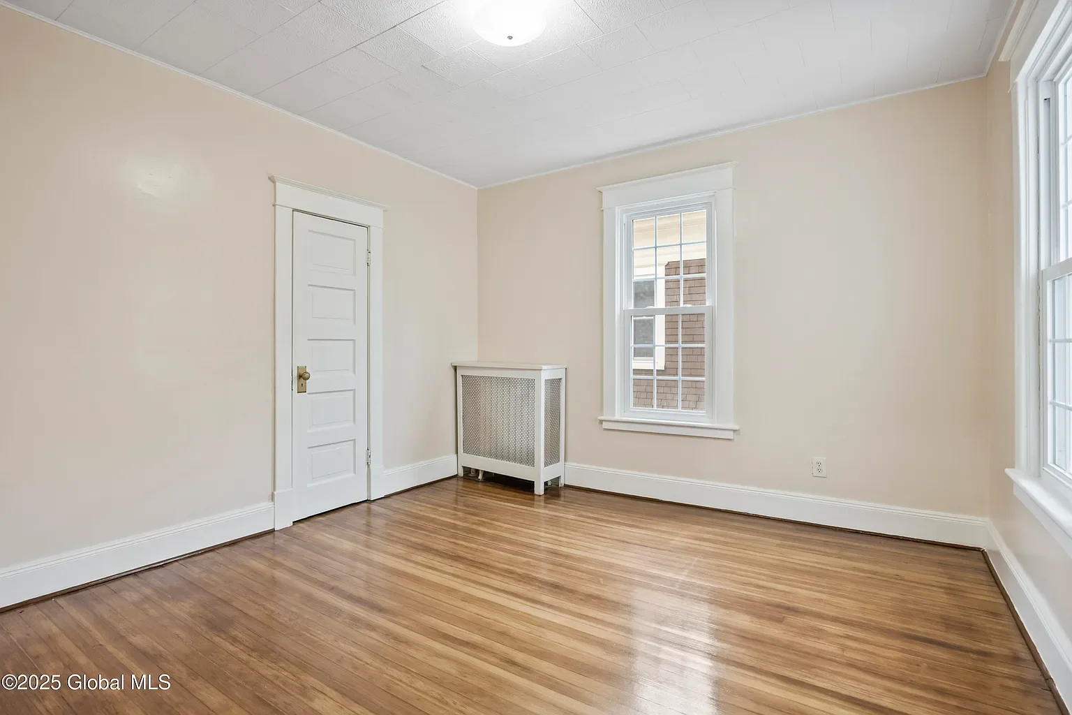 Albany Other: 559 Myrtle Ave.