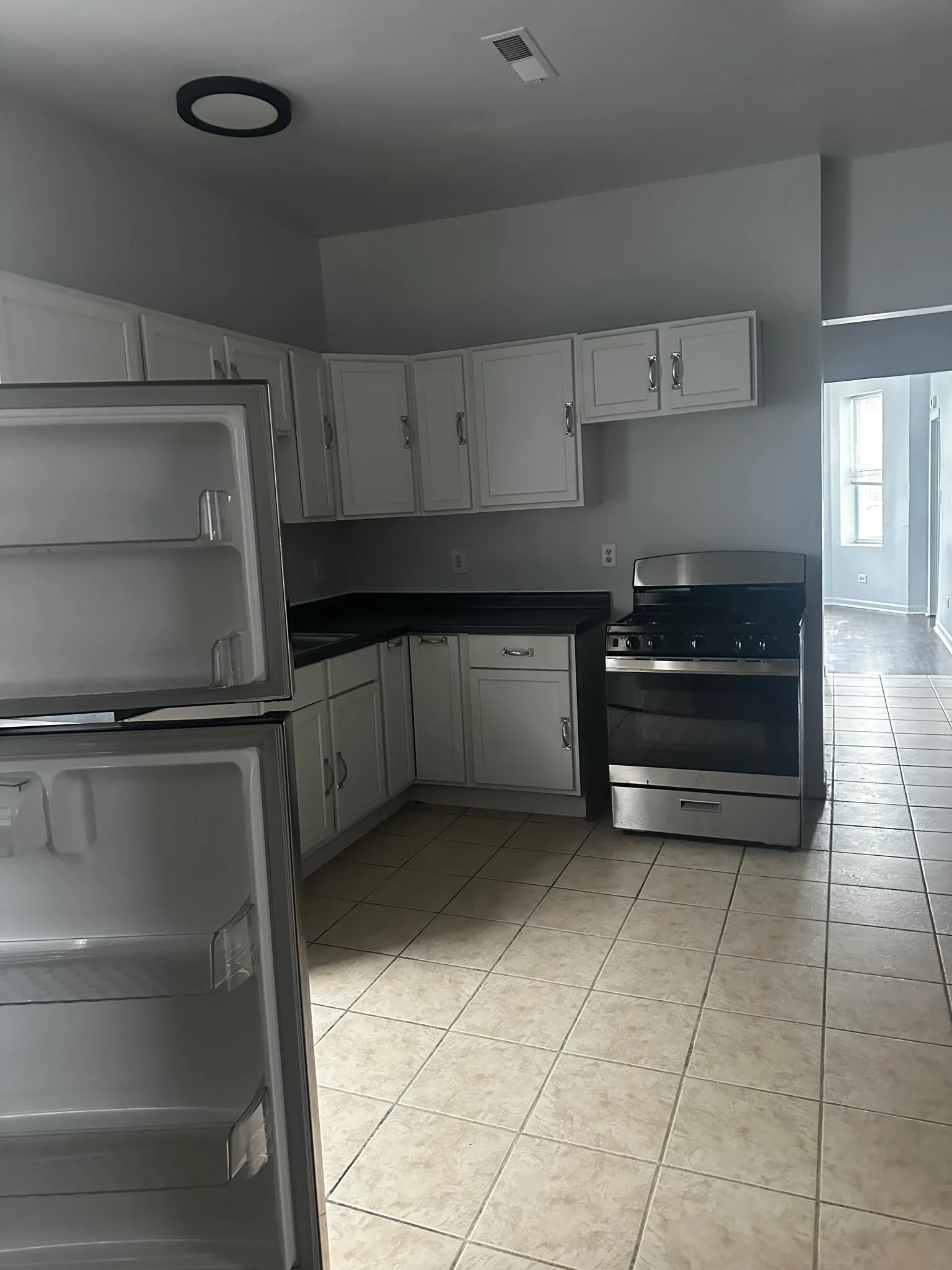 Chicago Apartment: 4142 W 21st St