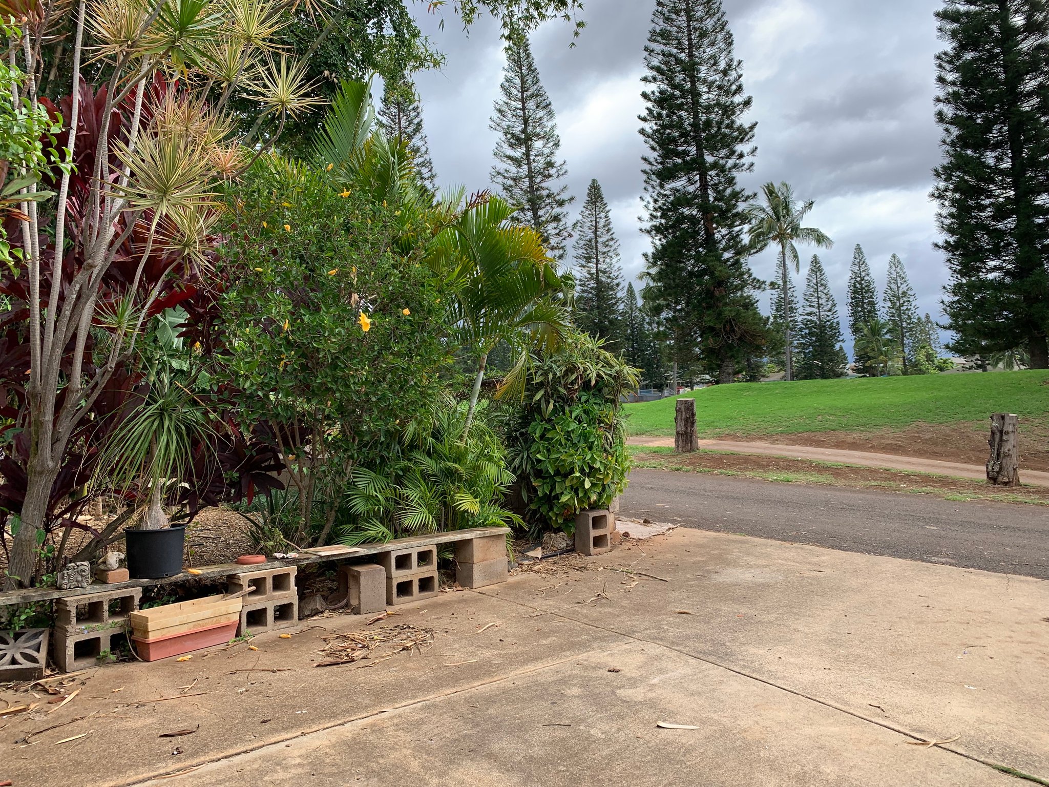 Pukalani Multiplex: 2860 Liholani Street