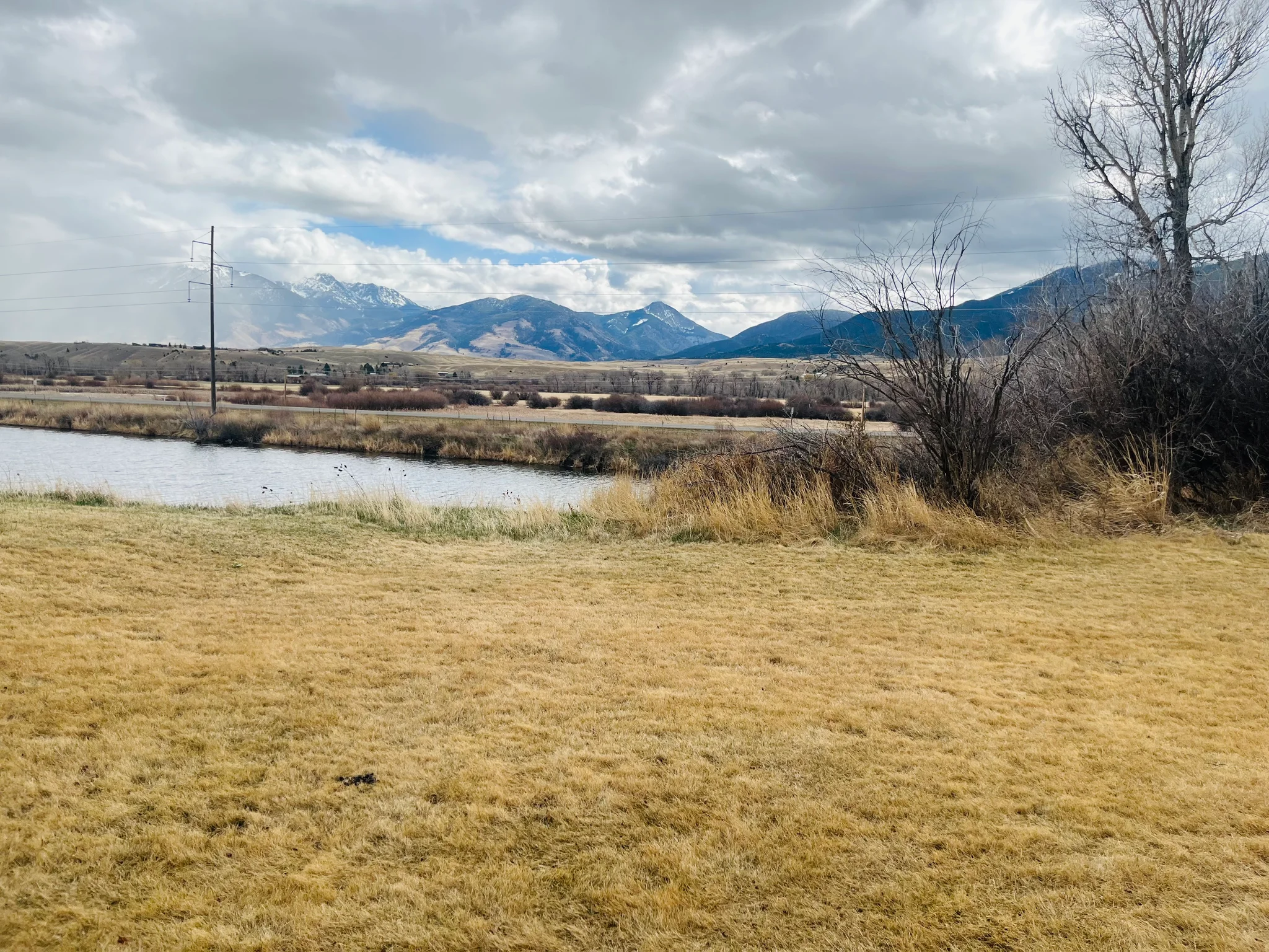 Emigrant Apartment: 5 Avalon Ct