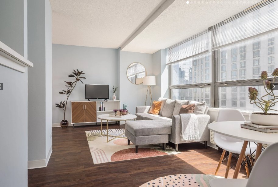 Chicago Condo: 443 E Ohio St