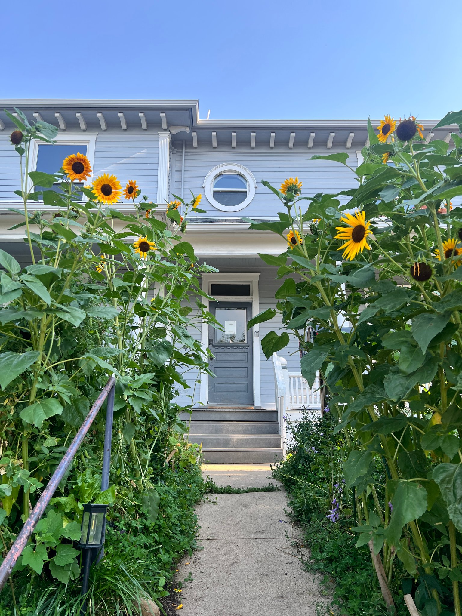 Boulder Apartment: 1044 Maxwell Ave