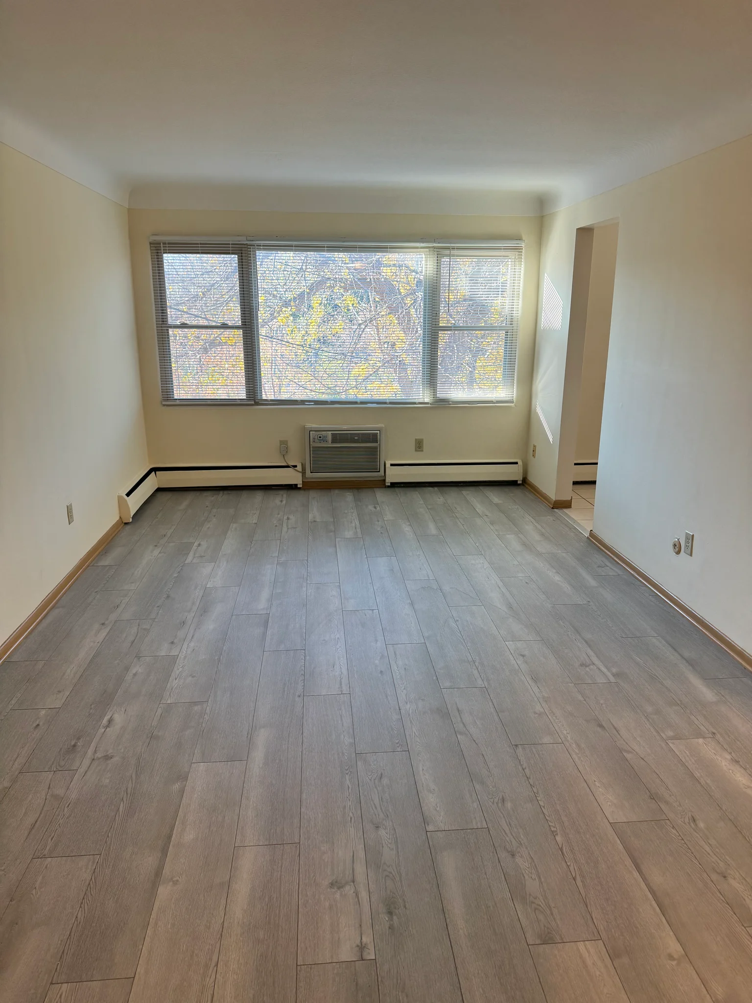 St. Paul Apartment: 1161 st clair ave