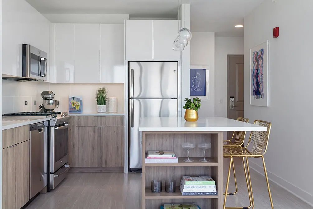 Chicago Condo: 2418 N Halsted St