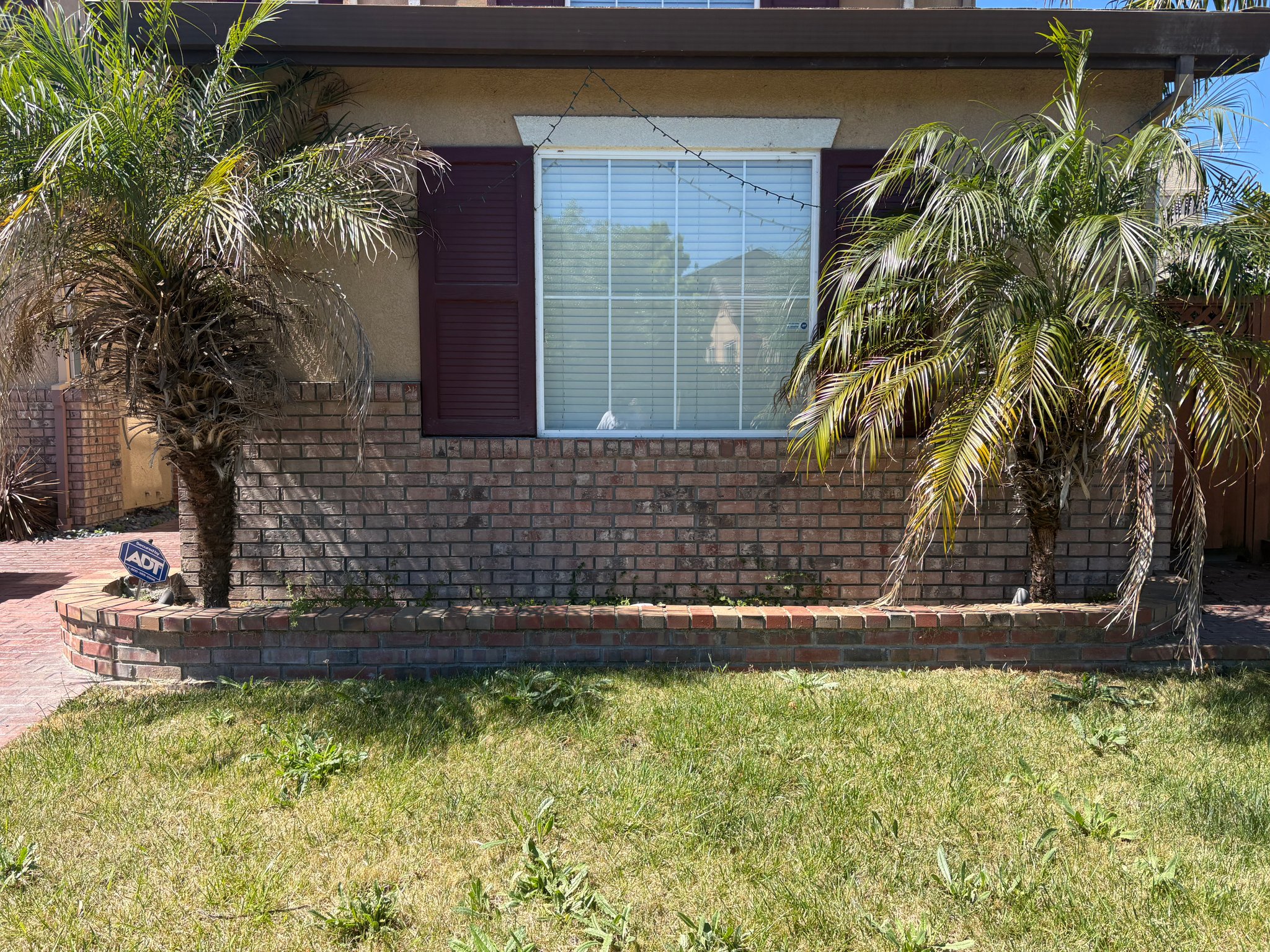 American Canyon Apartment: 35 Peacock Cir