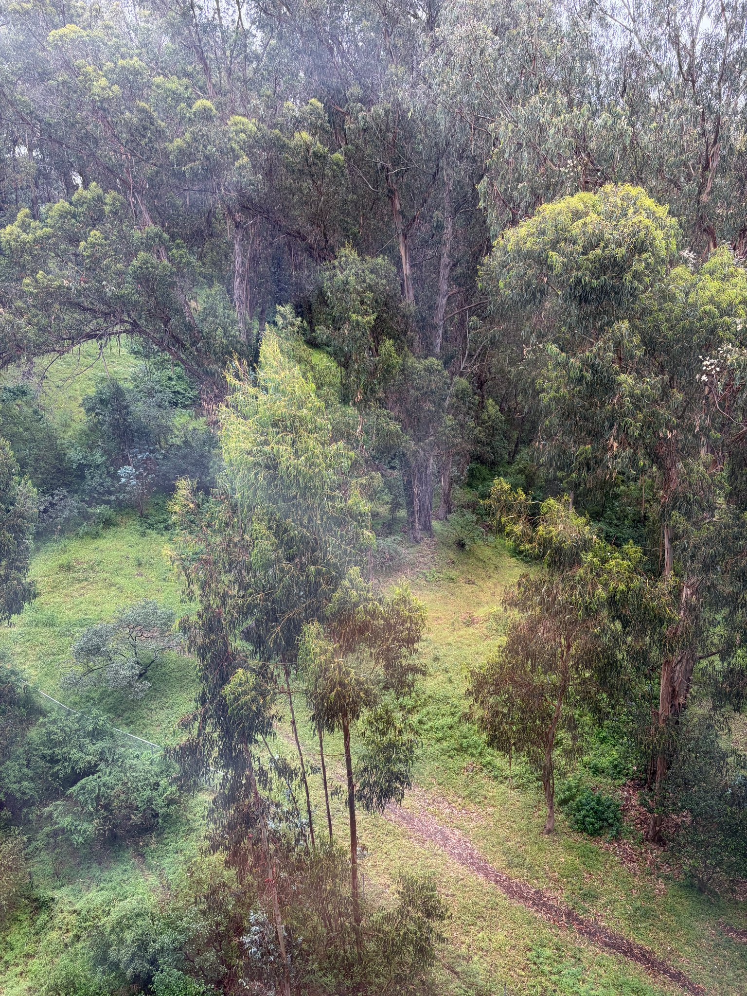 Albany Other: 555 Pierce Street