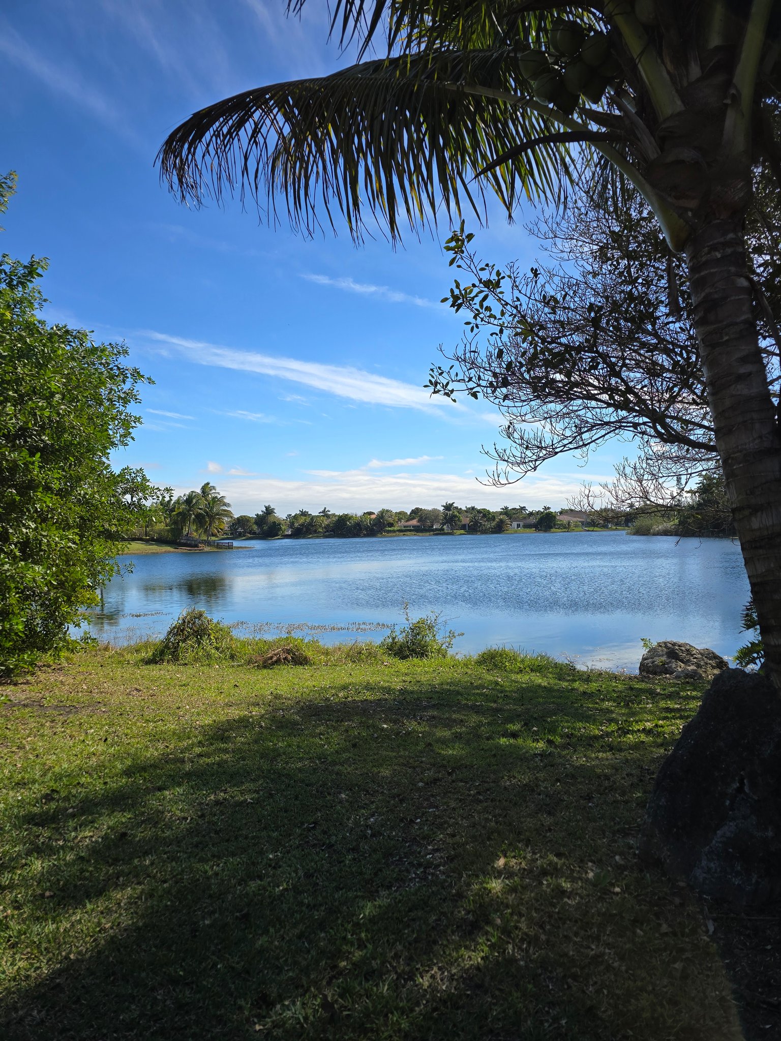 Homestead Townhome: 1575 owl road