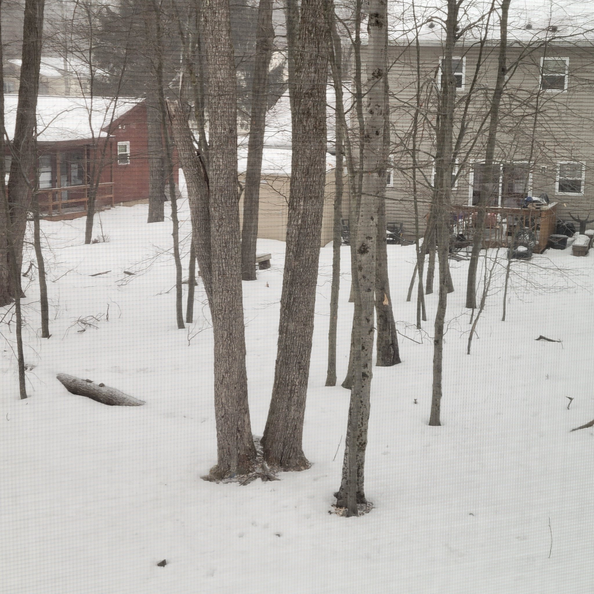 Tobyhanna House: 5282 sunshine lane