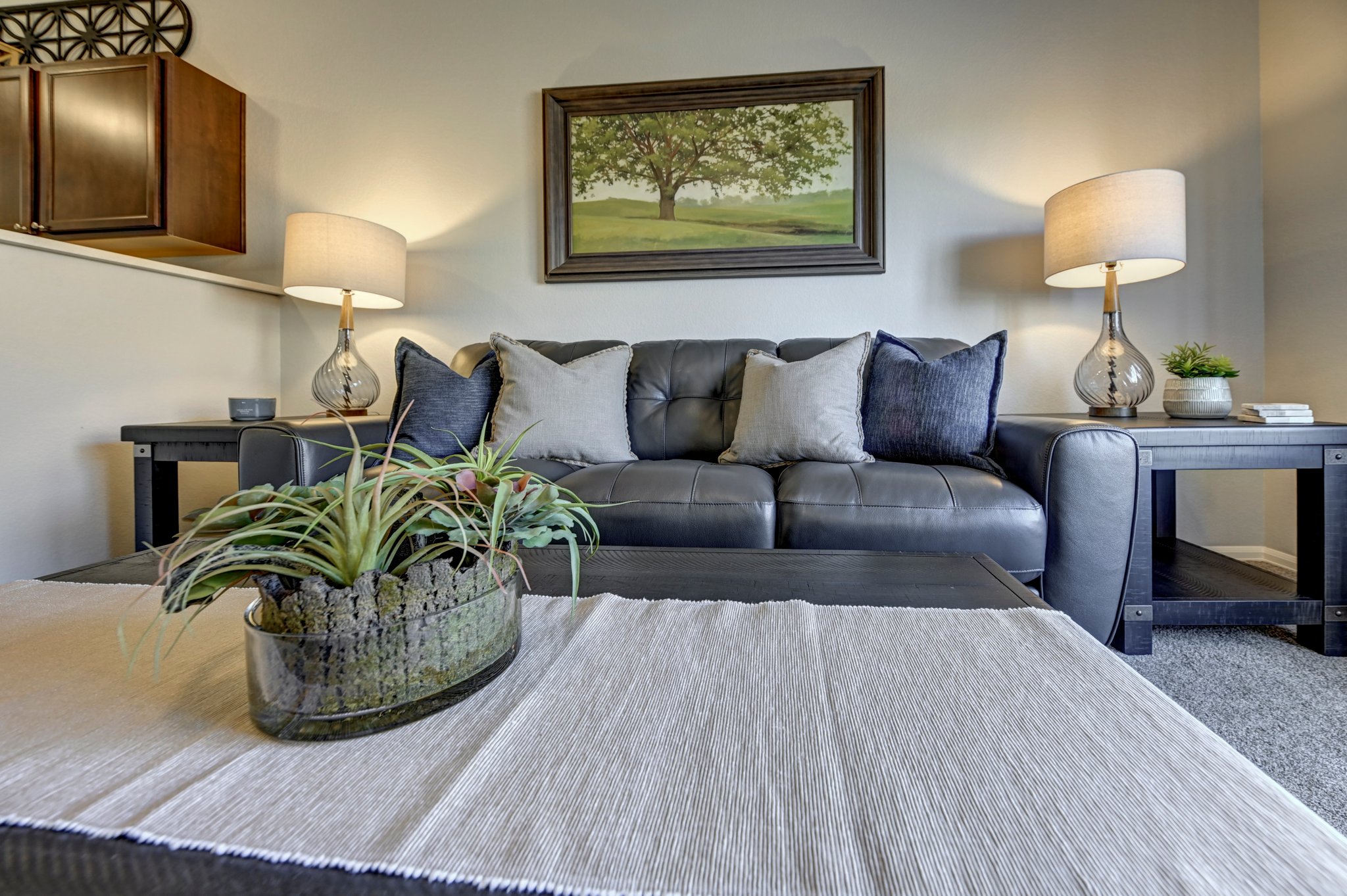 Colorado Springs Townhome: 7604 Sand Lake Hts