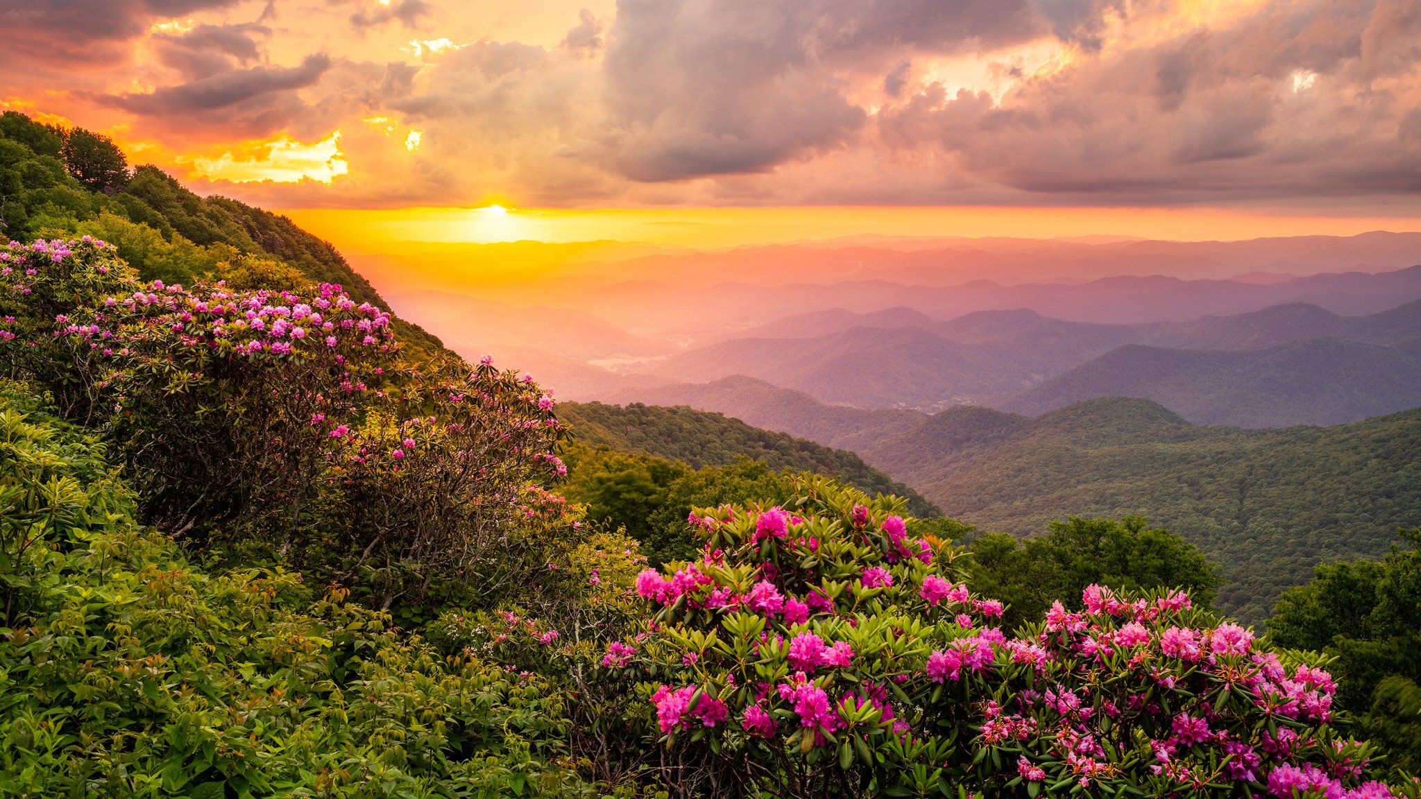 LITHONIA Condo: 180 RUE FONTAINE