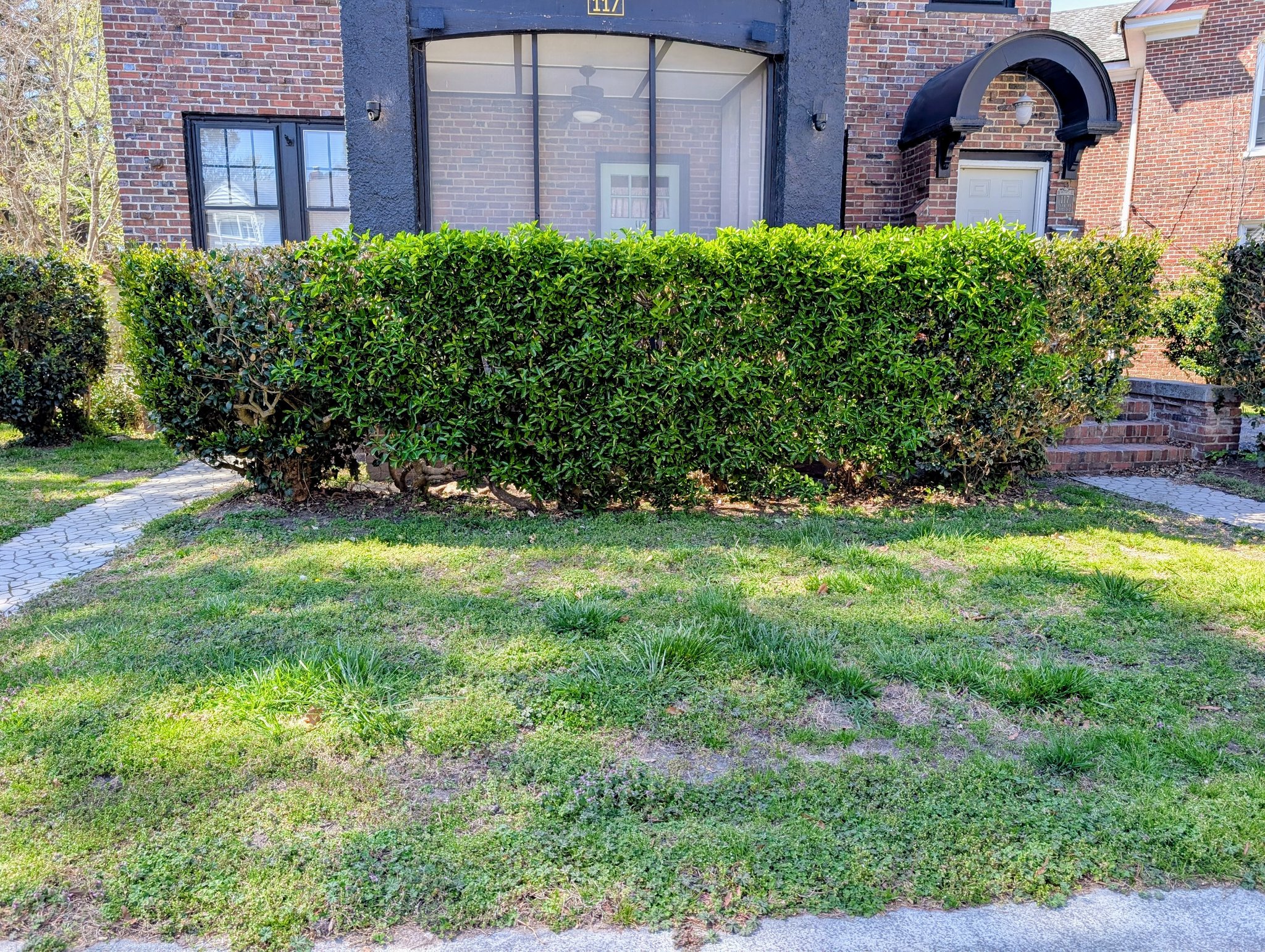 Suffolk Apartment: 117 1/2 Park Rd