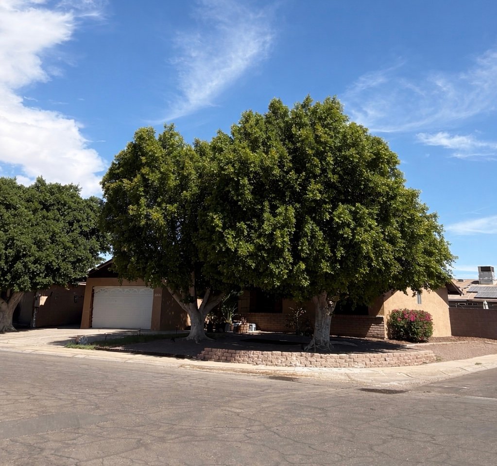 Yuma House: 4408 W 15th St