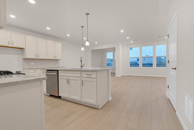 Tinley Park Townhome: 17870 Argos Court