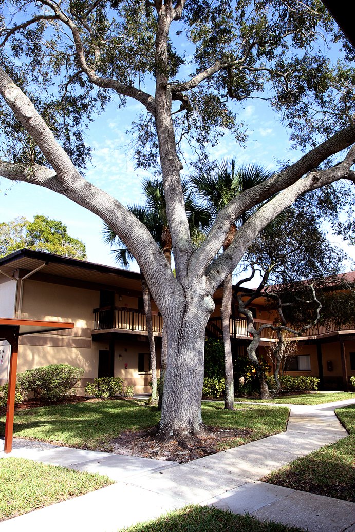 Clearwater Condo: 2661 Sabal Springs Cir