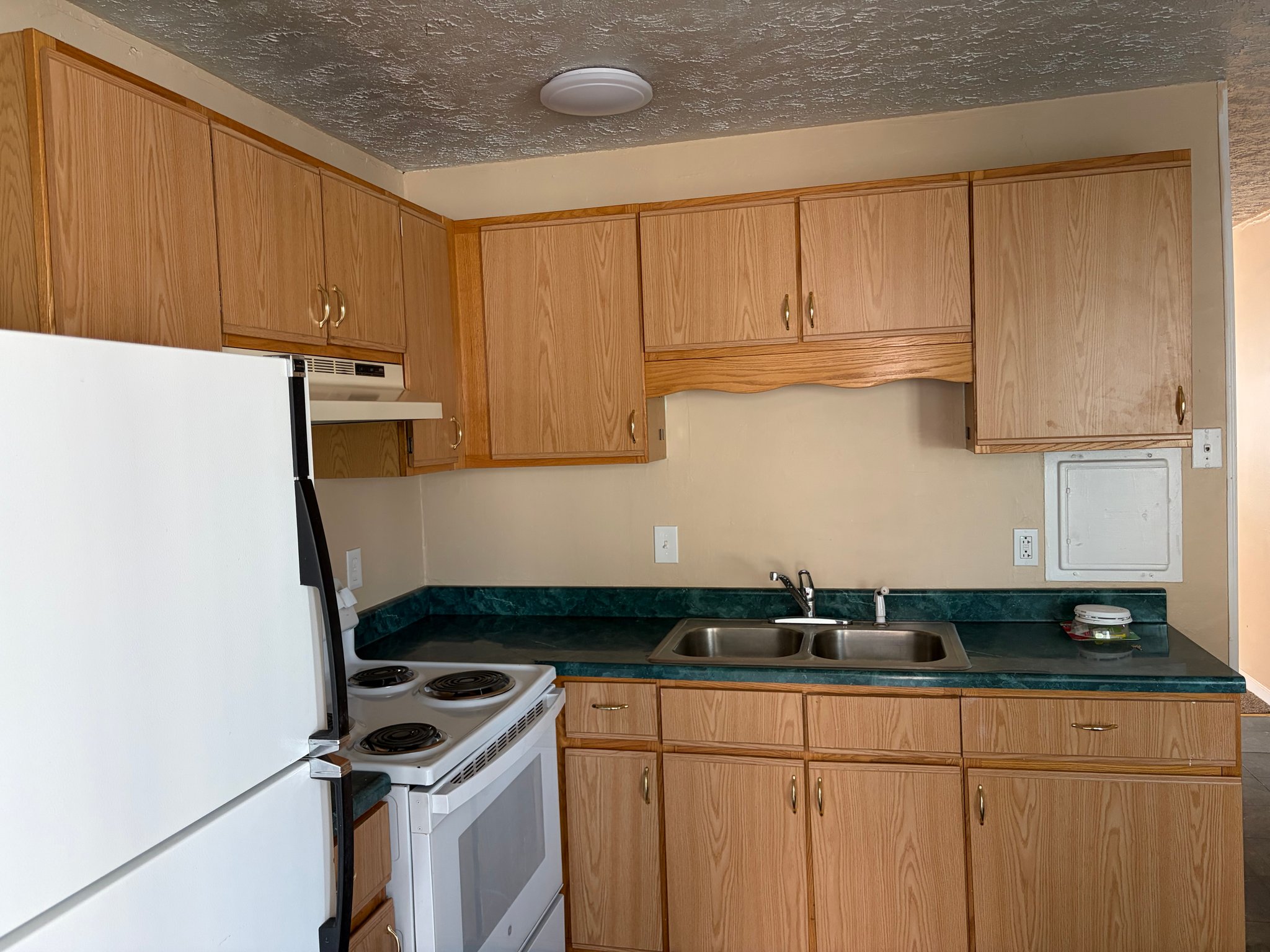 Troy Townhome: 132 Mann ave.